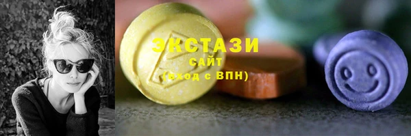 ECSTASY Богородицк