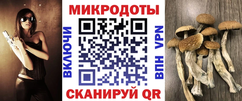 Псилоцибиновые грибы мицелий  Буйнакск 